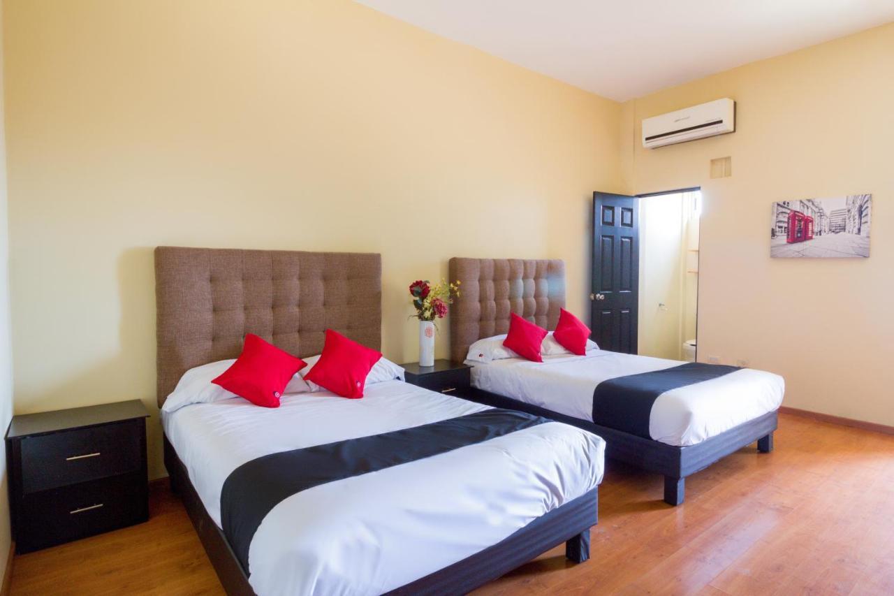Ecohabit, Monterrey Hotel อโปดาคา ภายนอก รูปภาพ