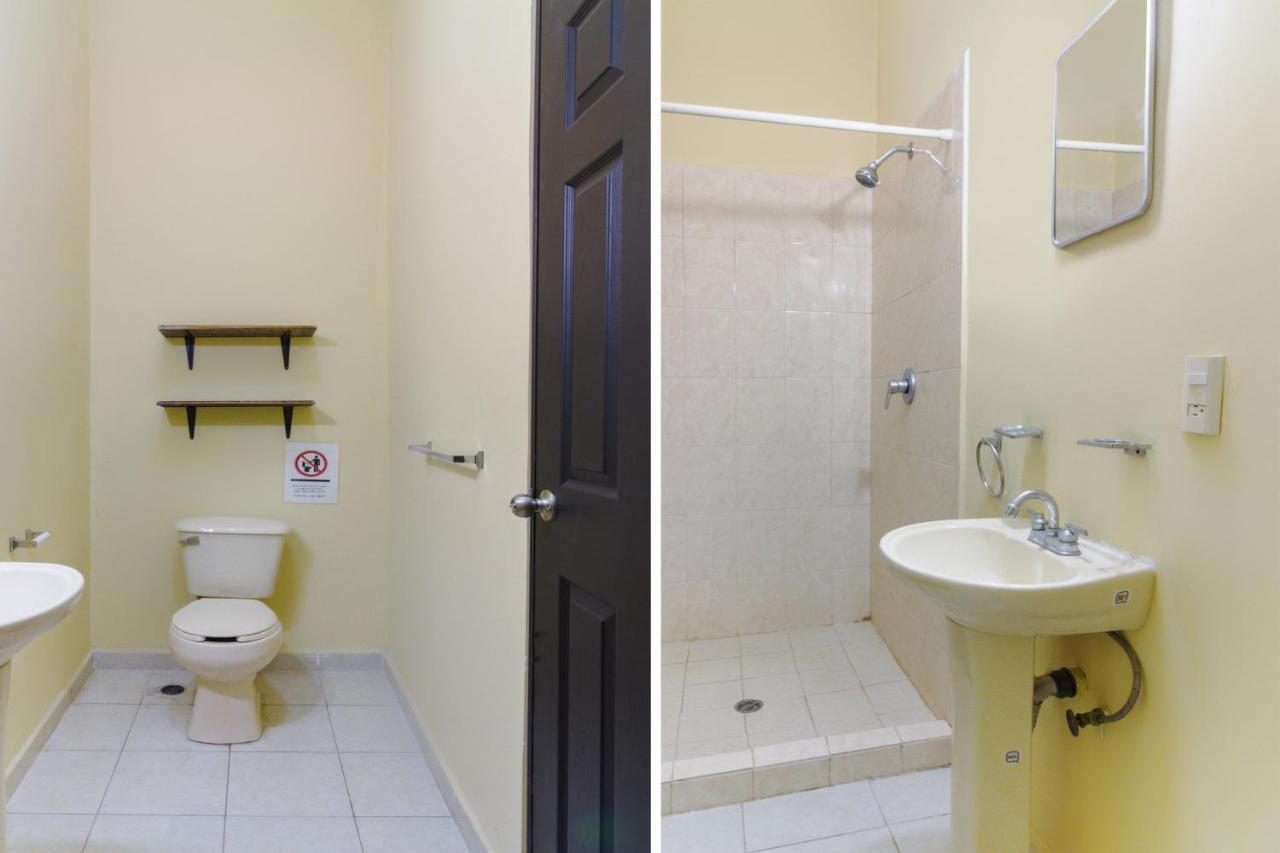 Ecohabit, Monterrey Hotel อโปดาคา ภายนอก รูปภาพ