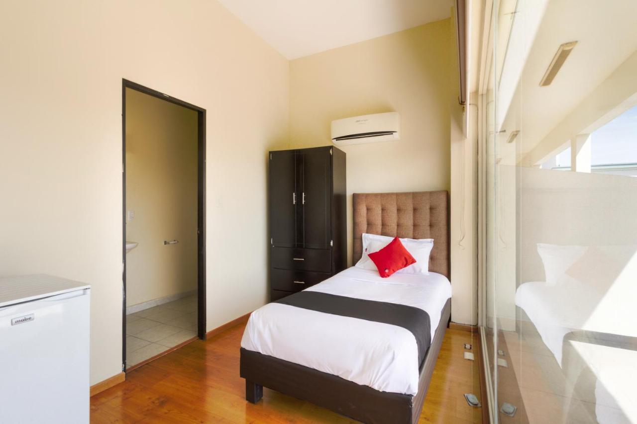 Ecohabit, Monterrey Hotel อโปดาคา ภายนอก รูปภาพ