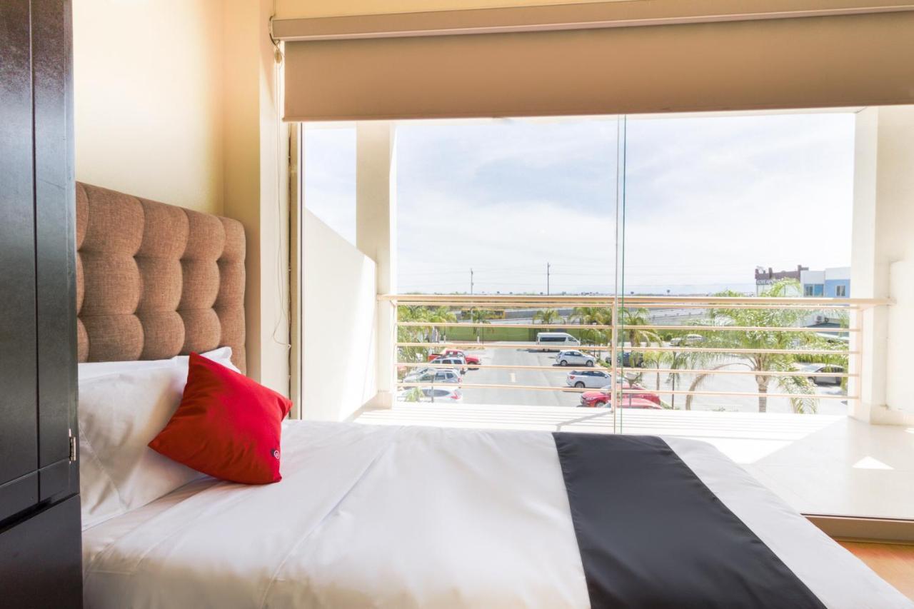 Ecohabit, Monterrey Hotel อโปดาคา ภายนอก รูปภาพ