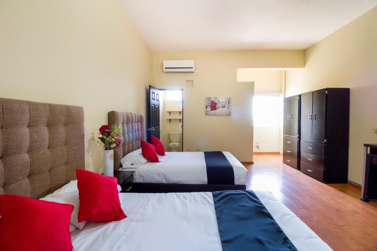 Ecohabit, Monterrey Hotel อโปดาคา ภายนอก รูปภาพ