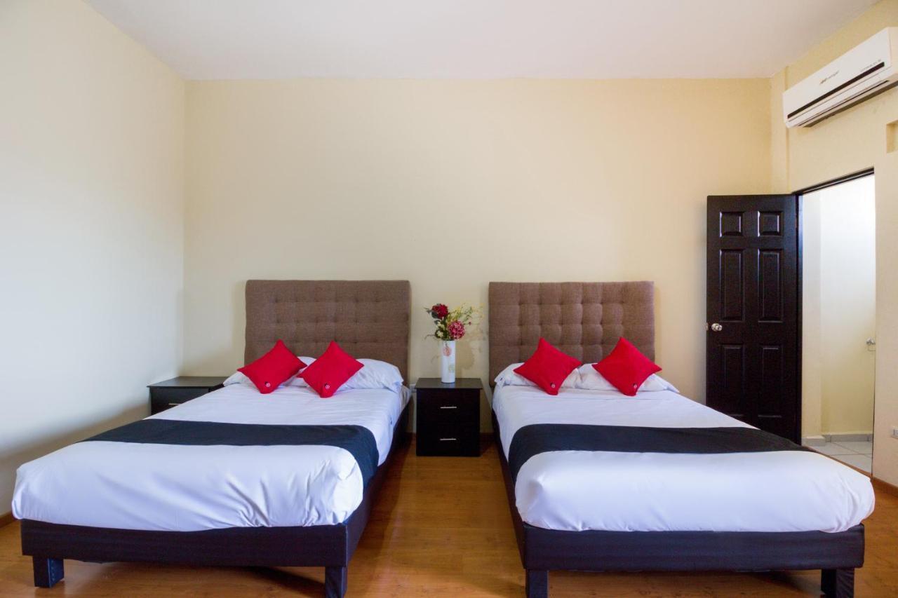 Ecohabit, Monterrey Hotel อโปดาคา ภายนอก รูปภาพ