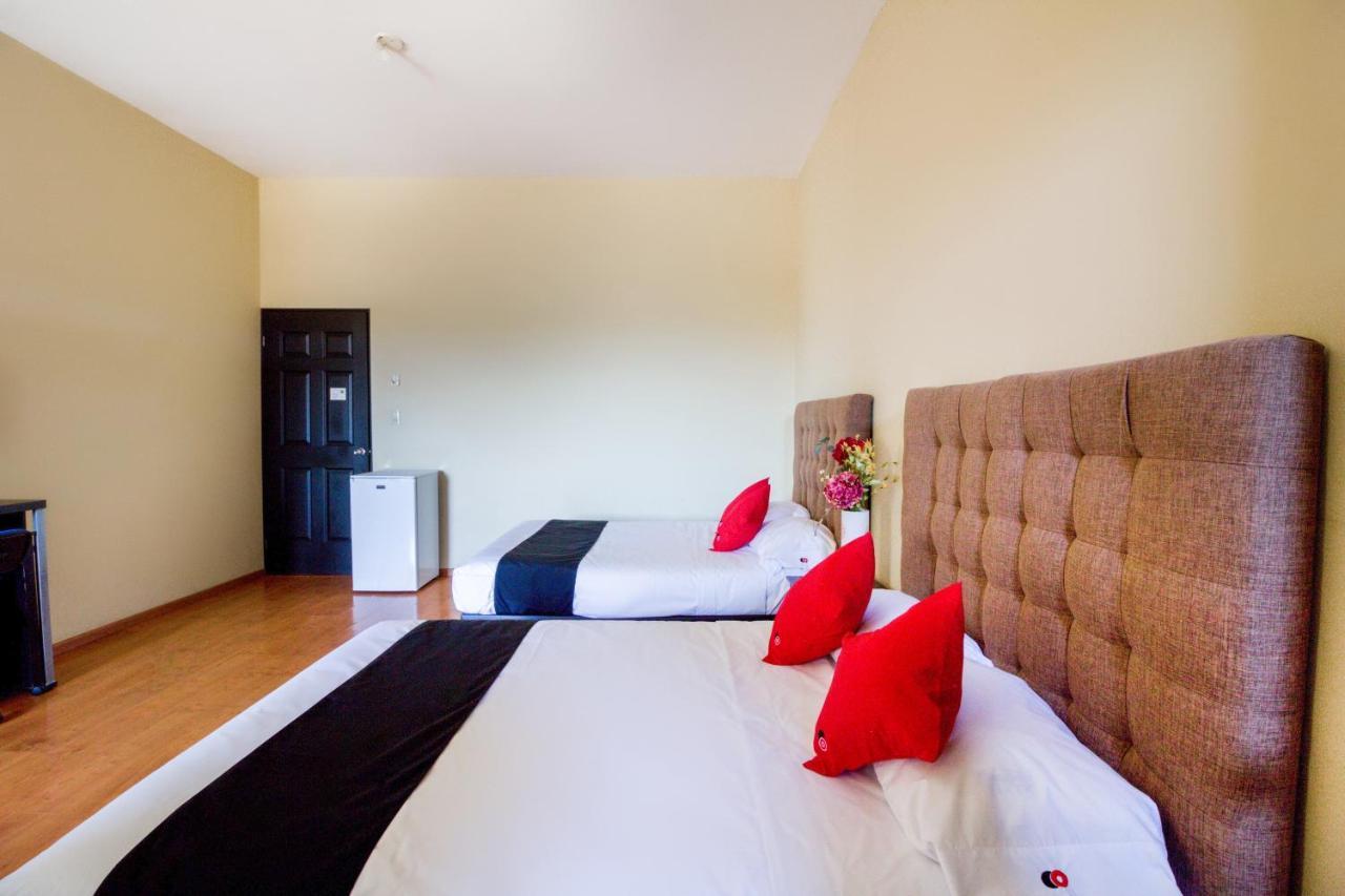 Ecohabit, Monterrey Hotel อโปดาคา ภายนอก รูปภาพ