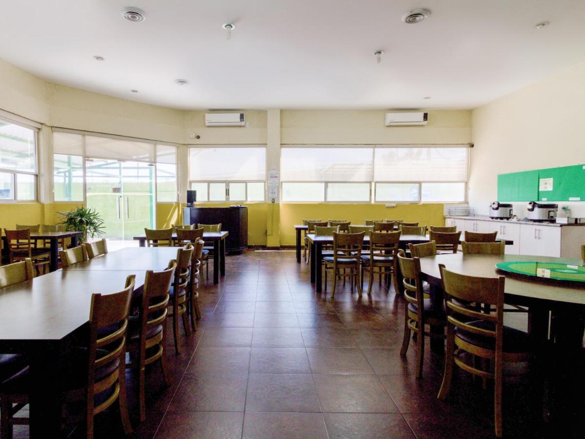 Ecohabit, Monterrey Hotel อโปดาคา ภายนอก รูปภาพ