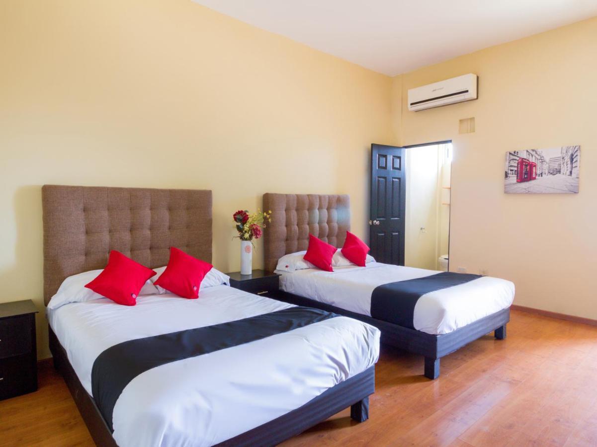 Ecohabit, Monterrey Hotel อโปดาคา ภายนอก รูปภาพ