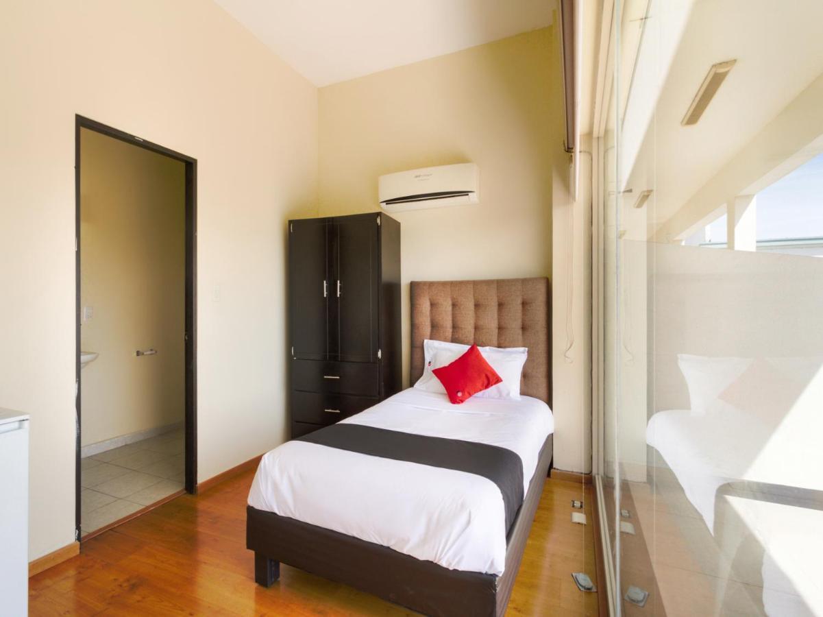 Ecohabit, Monterrey Hotel อโปดาคา ภายนอก รูปภาพ