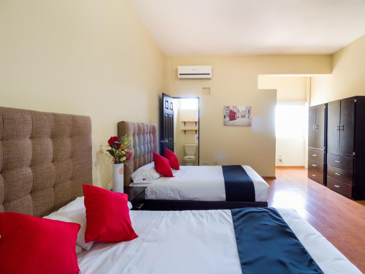 Ecohabit, Monterrey Hotel อโปดาคา ภายนอก รูปภาพ